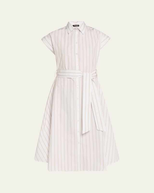 Striped Cotton Poplin Midi Shirtdress